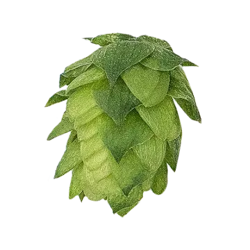 CASCADE US